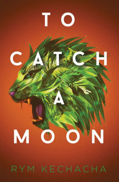 book cover for to catch a moon